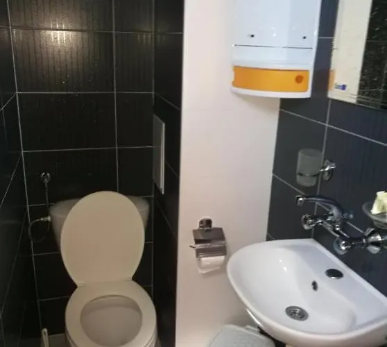 ели Πανσιόν