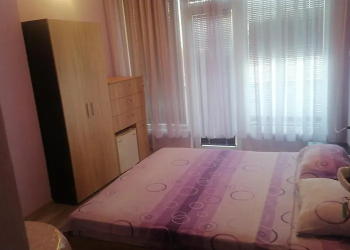 ели Πανσιόν